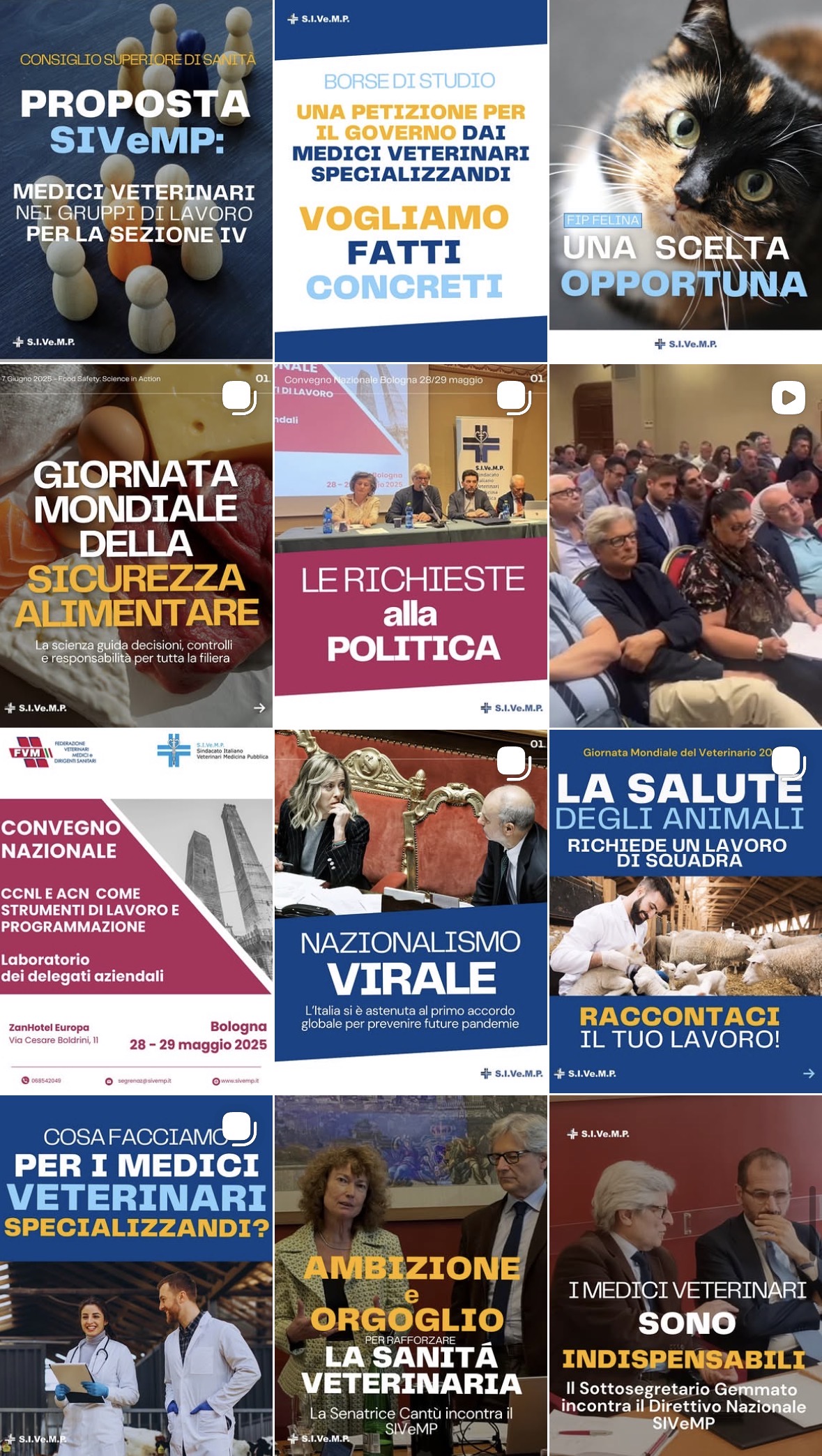 FVM (Federazione Veterinari Medici)